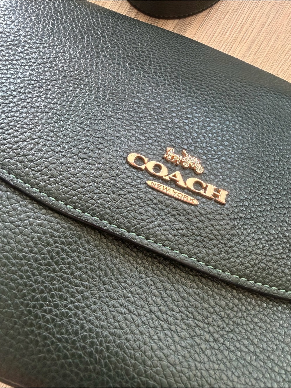 Coach Pebbled Leather Crossbody Bag | Forest Green|Gold Hardware|Excellent Condi - Picture 2 of 15